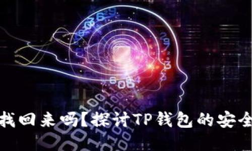 TP钱包被盗能找回来吗？探讨TP钱包的安全性与防护措施