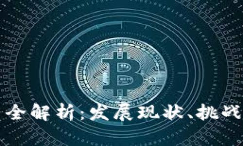 区块链运营全解析：发展现状、挑战与未来前景