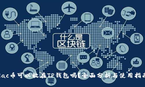 dac币可以放在TP钱包吗？全面分析与使用指南