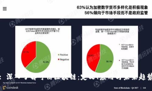 : 深入了解可信区块链：定义、应用与未来趋势