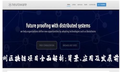 贵州区块链项目全面解析：背景、应用及发展前景