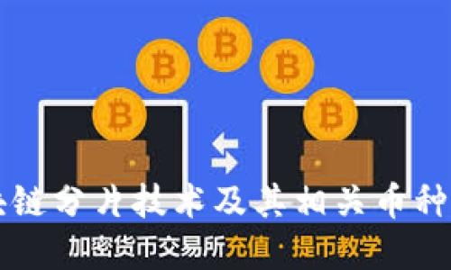 区块链分片技术及其相关币种详解