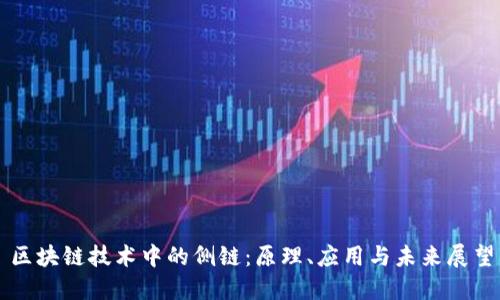 区块链技术中的侧链：原理、应用与未来展望